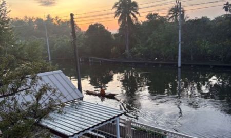 ขายที่ดิน - ขายที่ดิน 5 ไร่ พร้อมบ้านพักสไตล์รีสอร์ท ติดคลองสวย พร้อมโอน บ้านแพ้ว 4 ตำบลหลักสาม สมุทรสาคร