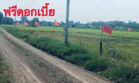 ขายที่ดิน - ที่ดินเงินผ่อนคลอง 5 คลองหลวงตะวันออกซอย 62 ผ่อน 40 เดือน ไม่เช็คเครดิตวางดาวน์ 100,000บาทผ่อนเดือนละ14,750บาทเนื้อที่100 ตรว.690,000บาท O95-4Ol86988