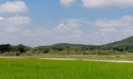 ขายที่ดิน - ขายที่นาดอนวิวดอยบ้านร้องวัวแดงสันกำแพงพร้อมโอน