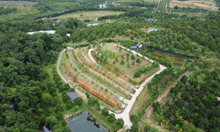 ขายที่ดิน - ขายสวนทุเรียน 11 ไร่ พร้อมบ้านสวยสไตส์รีสอร์ท วิวเขา