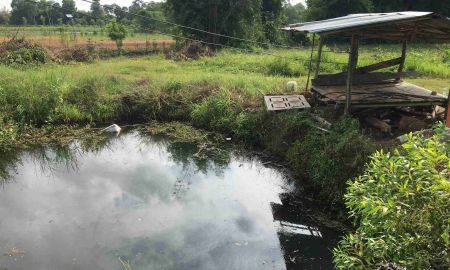 ขายที่ดิน - ขายที่ดินหัวหว้า 1 ไร่ เหมาะทำสวน ใกล้ถนนสี่เลนเส้น3070-2กม. อ.ศรีมหาโพธิ ปราจีนบุรี