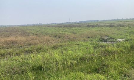 ขายที่ดิน - ขายที่ดินบางปลากด 4 ไร่ ใกล้ถนนรังสิต-นครนายก305-10กม. อ.องครักษ์ นครนายก