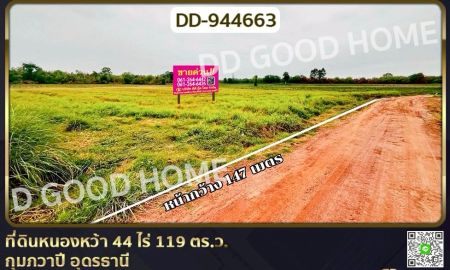 ขายที่ดิน - ที่ดินหนองหว้า 44 ไร่ 119 ตร.ว. กุมภวาปี อุดรธานี ใกล้สำนักงานเทศบาลตำบลห้วยเกิ้ง