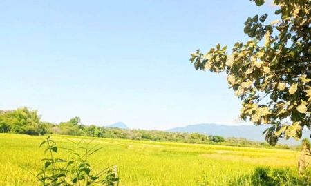 ขายที่ดิน - ที่ดินเปล่า เหมาจะทำโคก หนอง นา อ.ท่าปลา อุตรดิตถ์