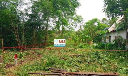 ขายที่ดิน - ที่ดินเปล่า ซอยคลองหกตะวันออก 98/1 ถ.รังสิต-นครนายก คลองหลวง ปทุมธานี