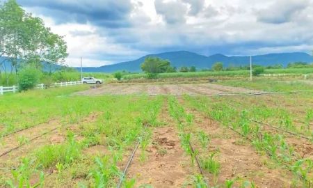 ขายที่ดิน - ขายที่ดินติดน้ำ ปากช่อง วังไทร คลองม่วง เขาใหญ่ นครราชสีมา 4.5 ไร่ ไร่ละ 1.5ล้าน ใกล้2235 Tayama ที่ติดคลองวิวเขาสวยมาก ใกล้ชุมชน วัดหินดาด ไม่เปลี่ยว