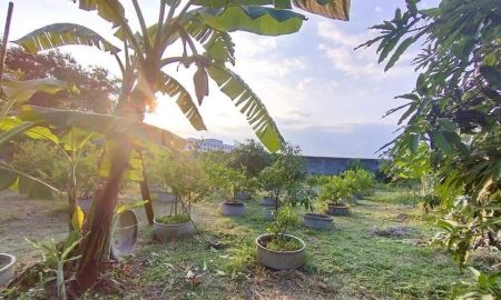 ขายบ้าน - ขายบ้านพร้อมที่ดิน พุทธบูชา37/1 1ไร่2งาน20.5ตรว