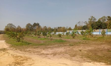 ขายที่ดิน - ขายที่สวนหัวหว้า 6 ไร่ ติดถนนเส้นปจ.3039 หัวซา-โรจนะ ใกล้ถนน3070-1.9กม. อ.ศรีมหาโพธิ ปราจีนบุรี