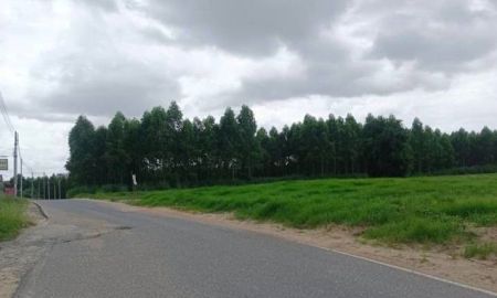 ขายที่ดิน - ขายที่ดินระยอง ปลวกแดง 65-3-52 ไร่ ผังสีม่วงลาย ใกล้นิคมอุตสาหกรรมอีสเทิร์นซีบอร์ด (ระยอง)