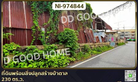ที่ดิน - ที่ดินพร้อมสิ่งปลูกสร้างป่าตาล 230 ตร.ว. ลพบุรี ใกล้โรบินสัน ไลฟ์สไตล์ ลพบุรี