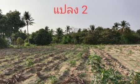 ขายที่ดิน - ขายที่ดิน เปล่า 3 แปลง หนองไผ่แก้ว บ้านบึง ชลบุรี เดินทางสะดวก ใกล้ถนน (331) TP-L1810