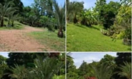 ขายที่ดิน - ขายที่ดินตำบลลวงเหนือดอยสะเก็ตพัฒนาเรียบร้อย