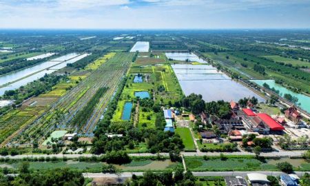 ขายที่ดิน - ขายที่ดินปทุมธานี รังสิตคลอง 12 ตำบลนพรัตน์ อำเภอหนองเสือ ติดถนน 100 เมตร ใกล้โรงเรียนวัดนพรัตนาราม