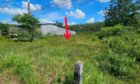 ขายที่ดิน - ขายที่ดิน 66 ตร.ว. ใกล้เขาศูนย์ ต.ไม้เรียง อ.ฉวาง นครศรีฯ