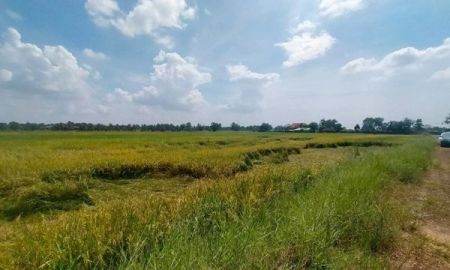 ขายที่ดิน - ขายที่ดิน ที่นา บางคล้า ฉะเชิงเทรา ขนาด 6-3-22ไร่ มีน้ำ มีไฟฟ้า มีเพื่อนบ้าน หน้ากว้าง 110เมตร เดินทางสะดวก ใกล้ถนน 304 ถนน3121