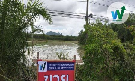 ขายที่ดิน - ขายที่ดิน อำเภอควนขนุน จังหวัดพัทลุง ราคาพิเศษ