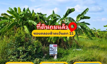 ขายบ้าน - ขายที่ดินซอยคลองห้าตะวันตก 21 ปทุมธานี ซอยคลองห้าตะวันตก 21 ต.คลองห้า อ.คลองหลวง จ.ปทุมธานี
