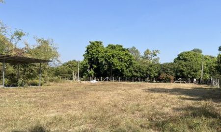 ขายที่ดิน - ขายที่ดิน 1 ไร่ มีโฉนดครุฑแดง ต.บ้านพร้าว อ.บ้านนา ขาย 1.2 ล้านบาท ไม่รวมโอน