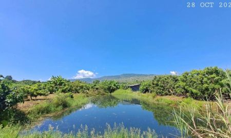 ขายที่ดิน - มีโฉนด 5 ไร่กว่าขายยกแปลงเพียง 2.4 ล้านรวมโอน ร้อนเงินเจ้าของขายเอง ห่างทล.108เชียงใหม่-ฮอดเพียง 900 เมตร