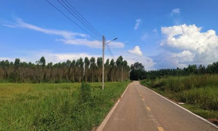 ขายที่ดิน - ขายที่ดินนนทรี 2 ไร่ ติดถนนลาดยางใกล้ถนนสุวรรณศร33-4กม. อ.กบินทร์บุรี ปราจีนบุรี