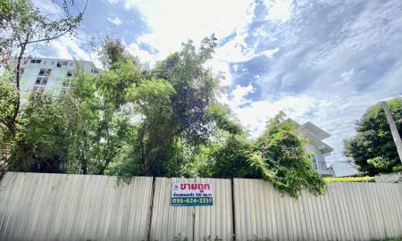 ขายที่ดิน - ขายถูก ที่ดินสวย ถมเรียบร้อย ซอยงามวงศ์วาน 25 แยก 25 เดินทางสะดวก