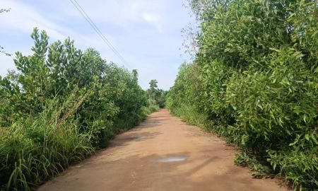 ขายที่ดิน - ขายที่ดินนนทรี 18 ไร่ ใกล้ถนนเส้นสุวรรณศร33-2กม. อ.กบินทร์บุรี ปราจีนบุรี