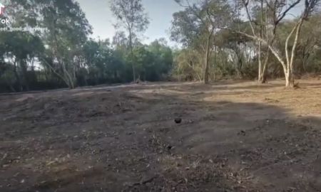 ขายที่ดิน - ขายที่ดินเปล่า 2 ไร่ 53 ตรว. ต.บางไทร อ.บางไทร จ.พระนครศรีอยุธยา