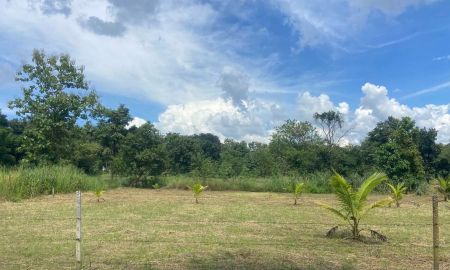 ขายที่ดิน - ขายที่ดินตำบลสุเทพหลังมหาวิทยาลัยเชียงใหม่โฉนด