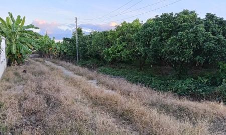 ขายที่ดิน - ชายที่ดินตำบลหนองตองหางดงติดถนนห่างตลาดเพียง 3 กม