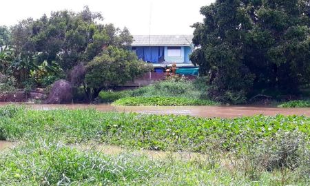 ขายที่ดิน - ขาย ที่ดินว่างเปล่า (ถมแล้ว) ตำบลไผ่จำศีล อำเภอวิเศษไชยชาญ จังหวัดอ่างทอง