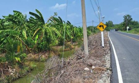 ขายที่ดิน - ที่ดินโคกพระเจดีย์ ที่ดินนครปฐม ที่ดินนครชัยศรี 7 ไร่ ทำสวนมะพร้าว ใกล้สนามชัยหาดทรายขาวทะเลนครปฐม