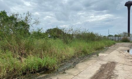 ขายที่ดิน - ขายที่ดิน 200 ตรว. คลอง12 เท่าราคาประเมิน