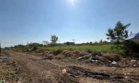 ขายที่ดิน - ขายที่ดินถมแล้ว 2 แปลงติดกัน พร้อมโฉนด คลอง 5 ธัญบุรี 2 งาน 80 ตรว. เข้าออกได้ 2 ทาง ใกล้มอเตอร์เวย์ ฟรีโอน