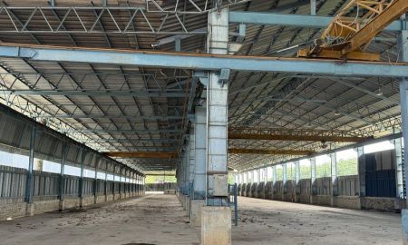 ให้เช่าโรงงาน / โกดัง - ให้เช่าโรงงานในนิคมพัฒนา ระยอง พื้นที่ทั้งหมดประมาณ 33,000 ตร.ม