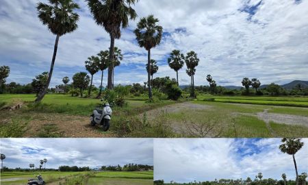 ขายที่ดิน - ที่ดินสวย วิวภูเขาทุ่งนาป่าตาล อากาศดีอุดมสมบูรณ์ 2ไร่2งาน24ตรว. ในชุมชนติดถนน-หมู่บ้าน ใกล้ไฟฟ้า-ประปา-สาธารณูปโภค-คลอง-ถนนใหญ่-แหล่งท่องเที่ยว