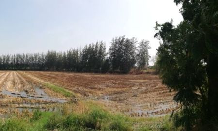 ขายที่ดิน - ขายที่ดิน 7 ไร่ ใกล้บึงฉวาก สุพรรณบุรี ติดถนนทางหลวง 3216