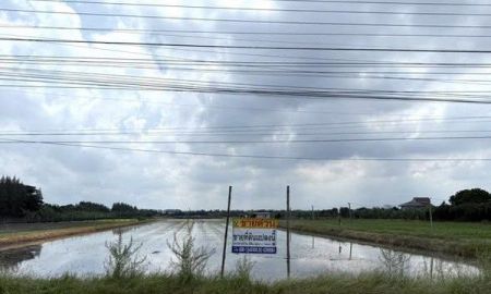 ขายที่ดิน - ขายที่ดินบ้านกล้วยไทรน้อย (รหัส 202568) ต.ไทรน้อย อ.บางบัวทอง จ.นนทบุรี