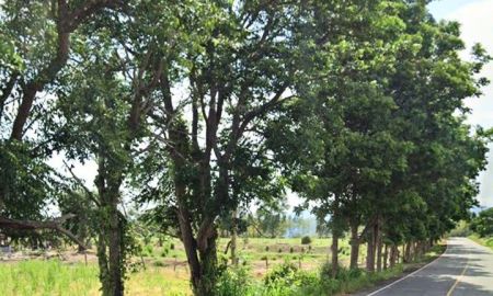 ขายที่ดิน - ที่ดินเปล่า ราบบนเนิน วิวสวย น้ำไม่ท่วม อ.น้ำปาด อุตรดิตถ์