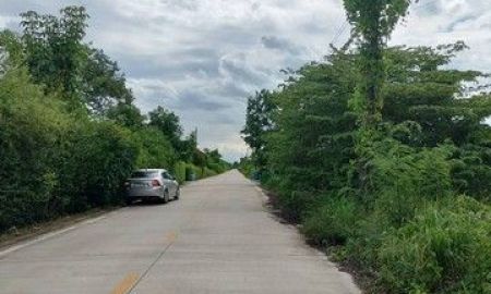 ขายที่ดิน - ขาย ที่ดินเปล่า เนื้อที่ 2 ไร่ (800 ตารางวา) ซ.บึงบอน 10 อ.หนองเสือ จ.ปทุมธานี