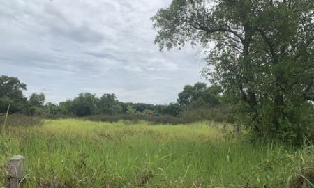 ขายที่ดิน - ขายที่ดิน2ไร่ ใกล้วัดหนองโรง หนองแค สระบุรี เจ้าของขายเอง