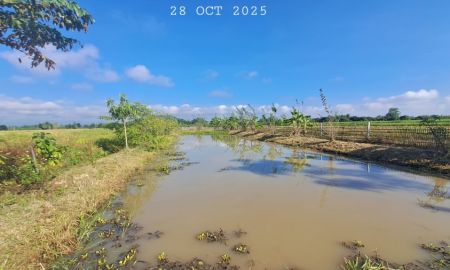 ขายที่ดิน - ขายสวนผสมบ่อปลา ไฟฟ้าน้ำประปาพร้อม วิวสวยเหมาะทำบ้านสวน บ้านพักตากอากาศ