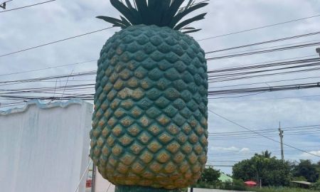 ขายที่ดิน - ขายที่ดิน 5 ไร่ใกล้พุทธสถานเจ้าแม่กวนอิมใกล้พรีเมี่ยม outletตำบลเขาใหญ่ชะอำเพชรบุรียกแปลง 2 ล้าน