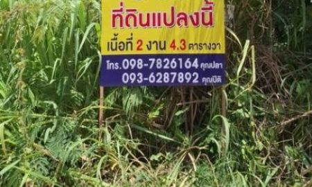 ขายที่ดิน - ที่ดินทำเลทอง ติดตลาดหนองไผ่ศิลา จ.ขอนแก่น เนื้อที่2งาน ติดถนนหลัก