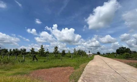 ขายที่ดิน - ขายที่ดินสีม่วงหัวหว้าหลังนิคมโรจนะ 23 ไร่ หลังรง.ฮอนด้า ใกล้ถนน304-3กม. อ.ศรีมหาโพธิ ปราจีนบุรี