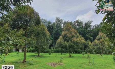 ขายที่ดิน - ขายที่ดิน 8 ไร่ ดอนเค็จ กาญจนดิษฐ์ สุราษฎร์ธานี ที่ดินแปลงนี้ผ่านการสำรวจธรณีวิทยา พบทรัพยากรน้ำแร่ใต้ดินจากแหล่งเขาแก้ว