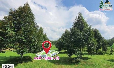 ขายที่ดิน - ขายสวนทุเรียน 4 ไร่ ใกล้ซอย 10 มีทุเรียนหมอนทองประมาณ 80 ต้น ต้นทุเรียนสวยสมบูรณ์ อายุทุเรียน 5 ปีกว่า