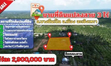 ขายที่ดิน - ขายที่ดินแปลงสวย ต.บางตีนเป็ด อ.เมือง จ.ฉะเชิงเทรา เนื้อที่ 3 ไร่ 9 ตร.ว.