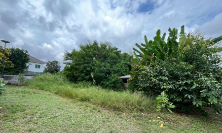 ขายที่ดิน - ขายที่ดินเปล่า ซอยเพิ่มสิน 29 สายไหม กรุงเทพมหานคร