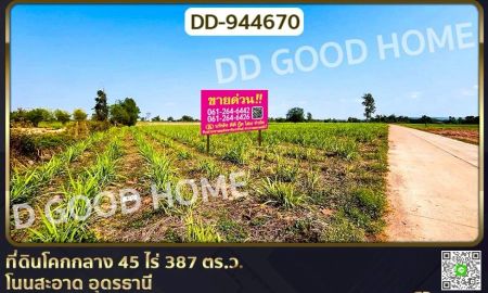 ขายที่ดิน - ที่ดินโคกกลาง 45 ไร่ 387 ตร.ว. โนนสะอาด อุดรธานี ใกล้สำนักงานสาธารณสุขอำเภอโนนสะอาด