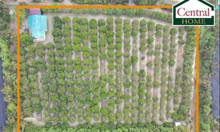 ขายที่ดิน - ที่ดิน พร้อมสิ่งปลูกสร้าง 9-3-60 ไร่ สามพราน นครปฐม